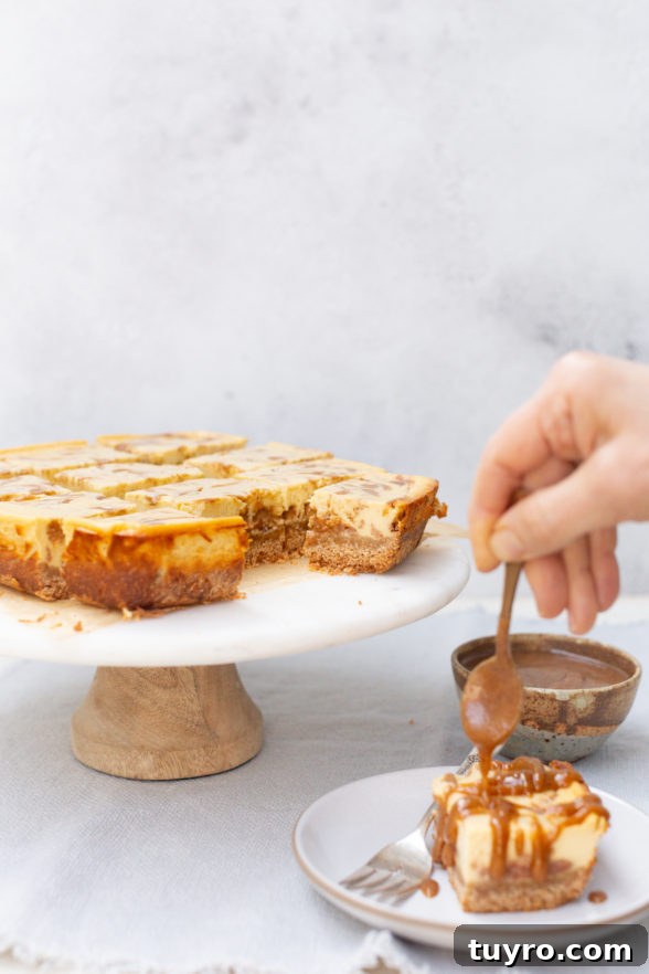 Salted Caramel Cheesecake Bars: No-Bake Dessert Recipe 8 img 24766 7
