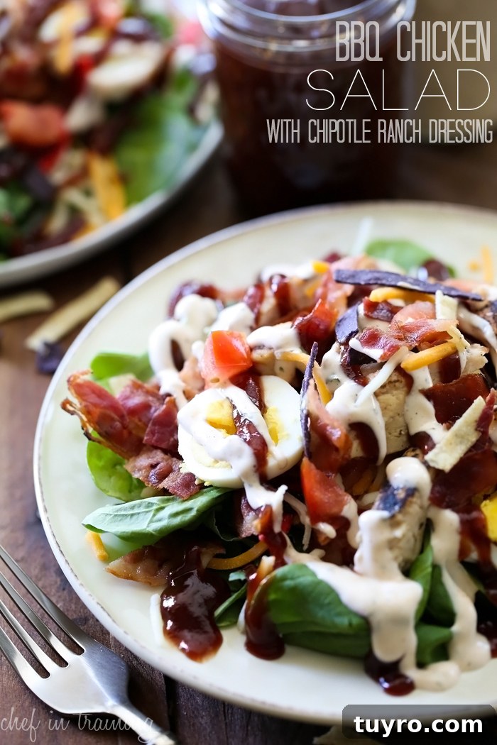 BBQ Chicken Salad with Smoky Chipotle Dressing 2 BBQ Chicken Salad with Chipotle Ranch Dressing from chef-in-training.com …This will be one salad you won't be able to forget and will have to make over and over again!