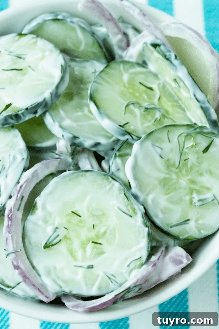 Cucumber salad with dill and red onion