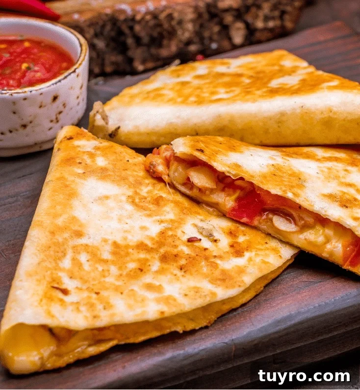 Cheese quesadilla slices with salsa