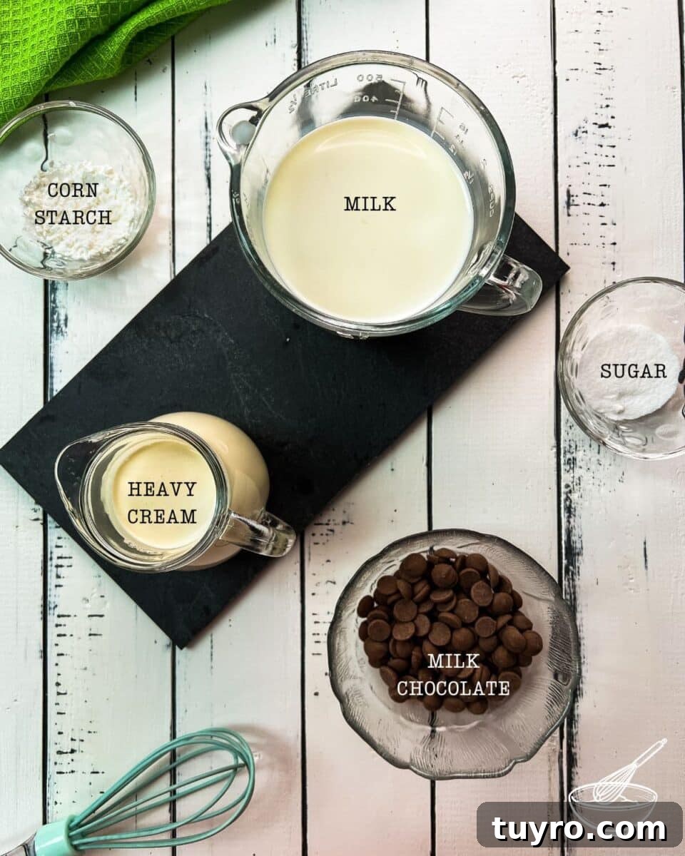 5 Ingredient Chocolate Cornstarch Pudding Recipe 3 Five ingredients are required for making a delicious chocolate cornstarch pudding.