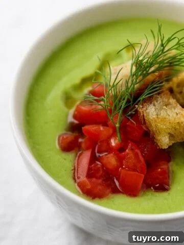 Close up of chilled cucumber soup with chopped tomatoes, croutons and dill on top.