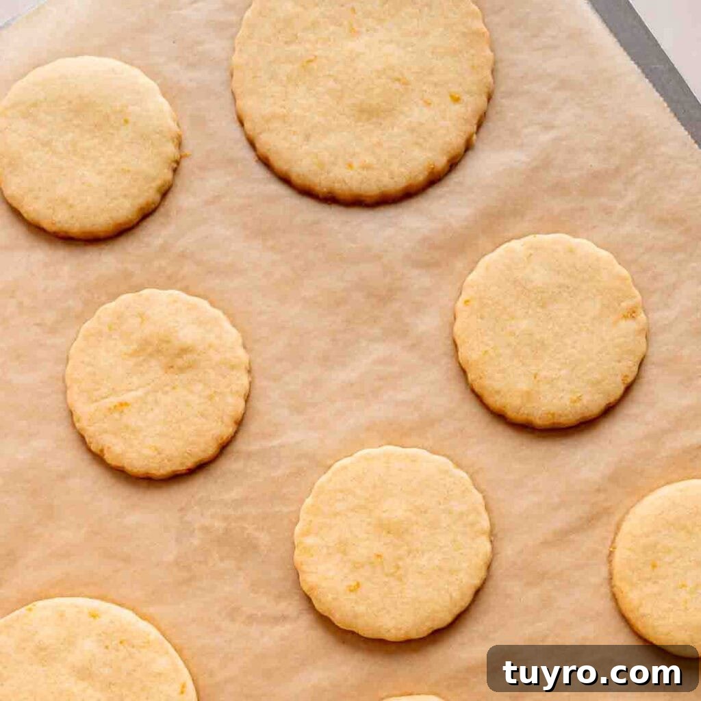 Honey Orange Shortbread Cookies — No-Chill Cut-Out Recipe 9 Baked shortbread cookies on a pan.