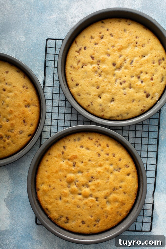 Butter Pecan Cake with Cream Cheese Frosting Recipe 14 Three 9 inch cakes baked on their baking pans