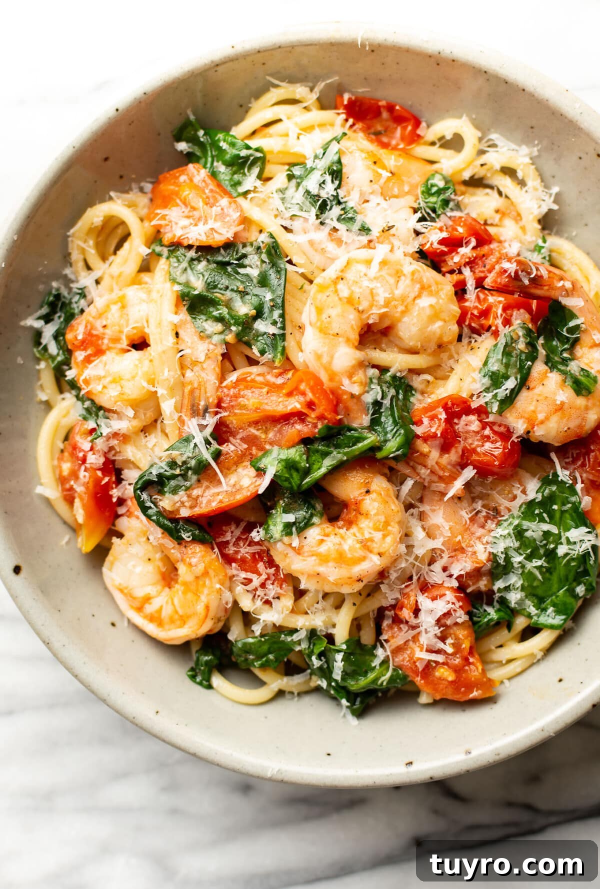 Garlic Shrimp Pasta with Tomato & Spinach Sauce 2 a bowl of tomato spinach shrimp pasta