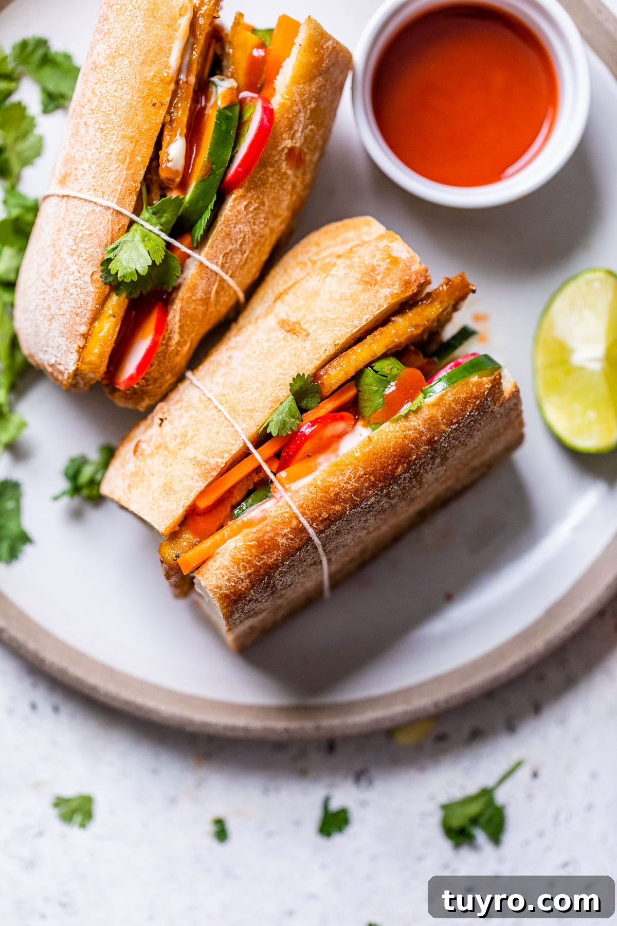 Tofu Banh Mi Sandwich with Pickled Vegetables 2 sandwich with sliced tofu and vegetables