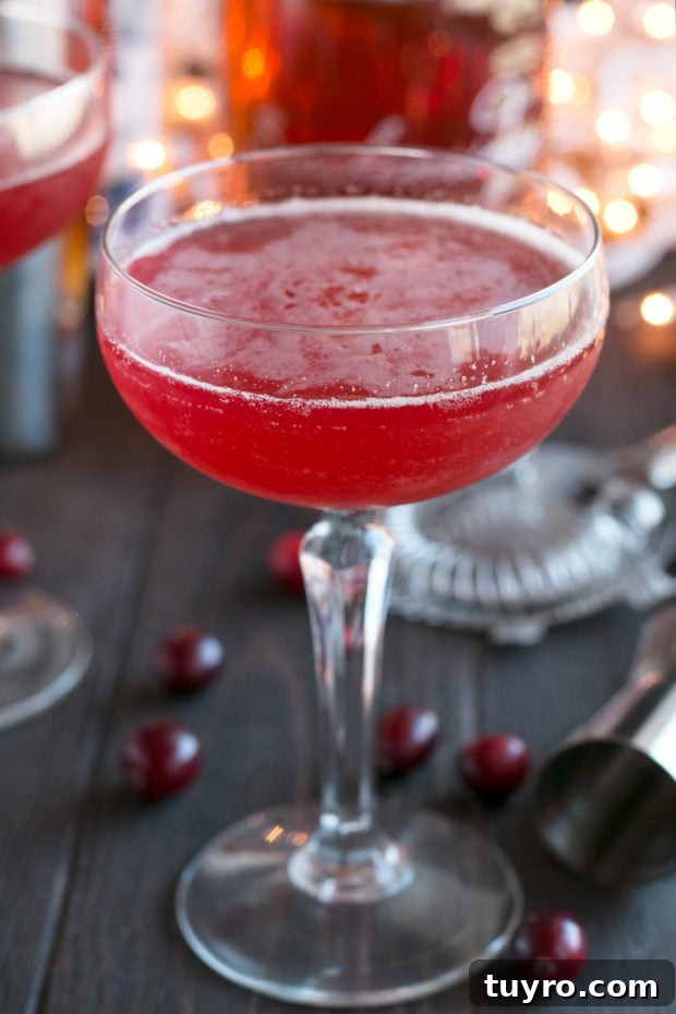 Cranberry Boulevardier | cakenknife.com