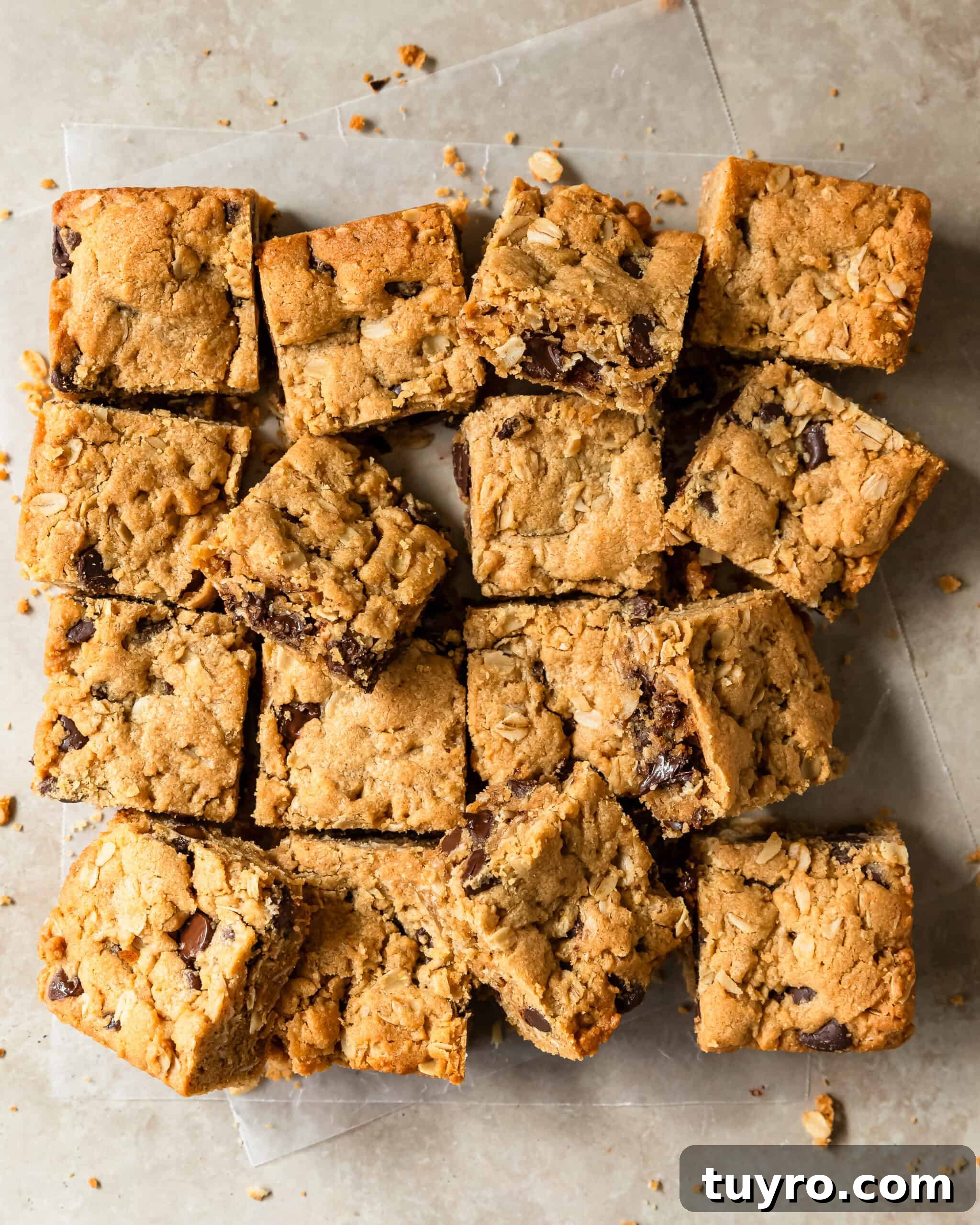 Chewy Peanut Butter Oatmeal Bars Recipe for Snack Time 2 Peanut butter chocolate chip bars are thick, soft and chewy oatmeal filled with rich and creamy peanut butter, hearty oats and sweet chocolate chips. These oatmeal peanut butter bars are quick, easy to make and are the perfect treat.