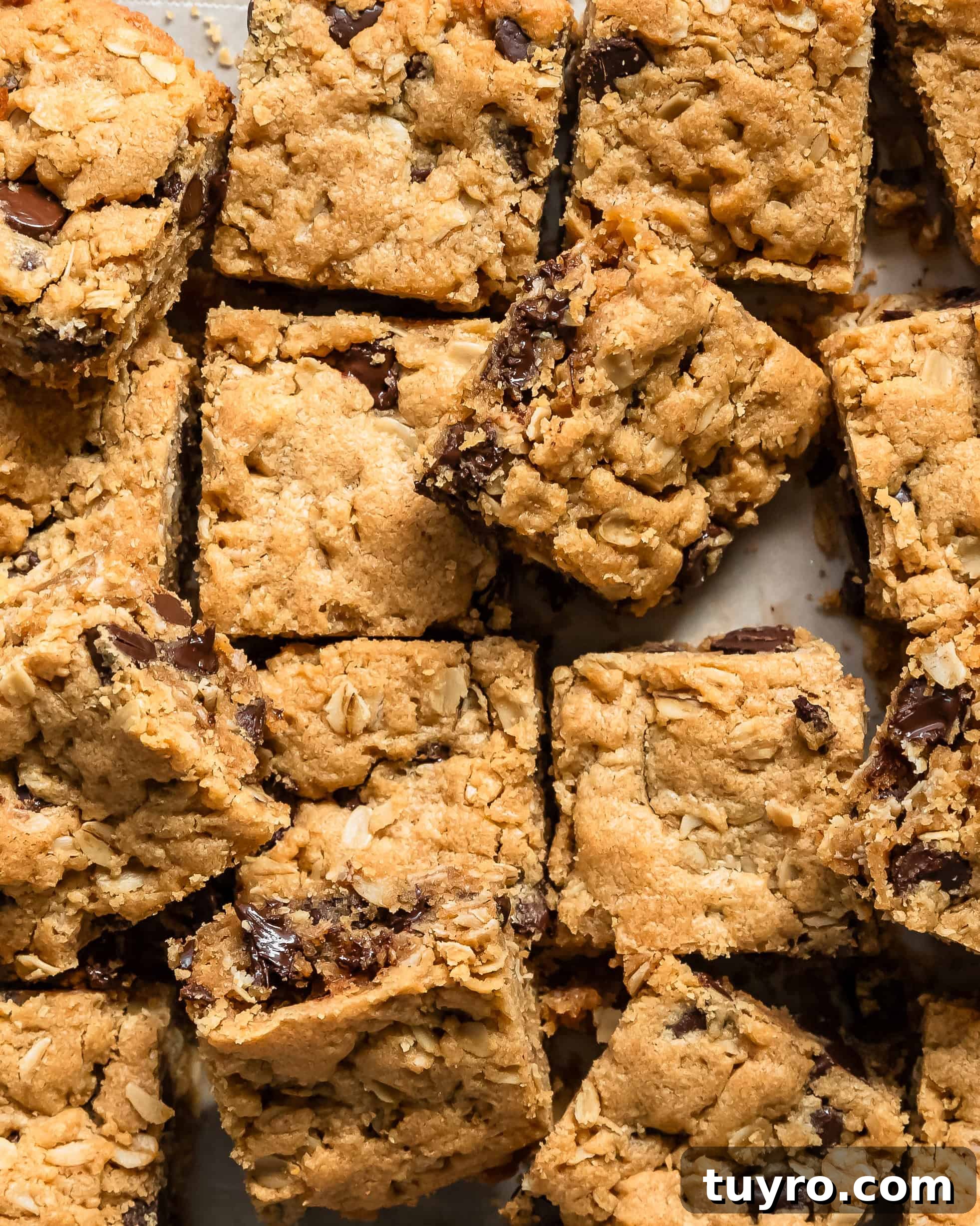 Chewy Peanut Butter Oatmeal Bars Recipe for Snack Time 7 Peanut butter chocolate chip bars are thick, soft and chewy oatmeal filled with rich and creamy peanut butter, hearty oats and sweet chocolate chips. These oatmeal peanut butter bars are quick, easy to make and are the perfect treat.