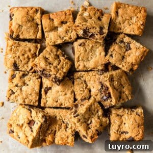Chewy Peanut Butter Oatmeal Bars Recipe for Snack Time 9 img 28047 8