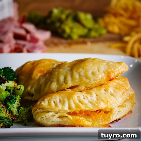 Two ham and cheese hand pies on a plate.