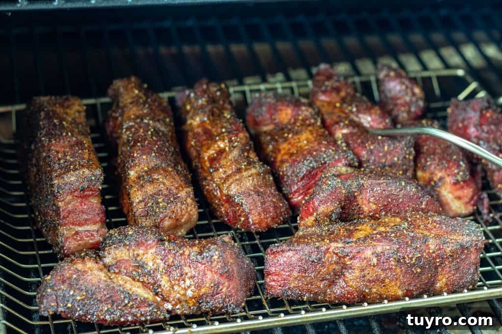 Smoked Country-Style Pork Ribs Recipe for Tender, Flavorful Meat 4 multiple strips of boneless country style ribs with rub in a smoker, one strip has a temp probe in it