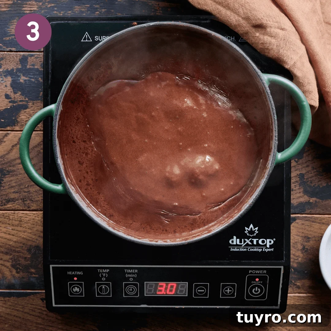Creamy Vegan Hot Chocolate Recipe 8 Hot chocolate mixture before simmering on stovetop.
