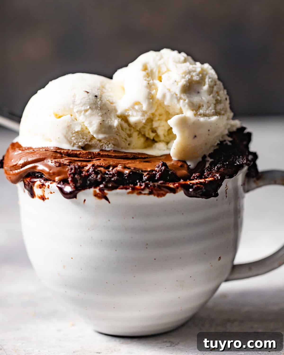 3-Ingredient Mug Cake Recipe Ready in Minutes 2 3 ingredient mug cake in a mug topped with nutella and two scoops of vanilla ice cream.