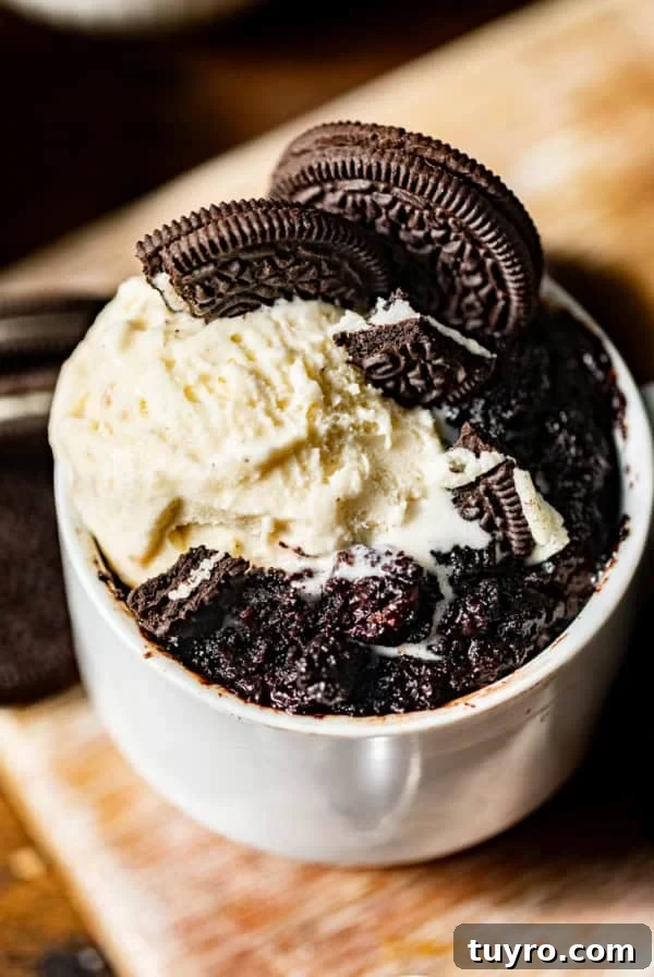 3-Ingredient Mug Cake Recipe Ready in Minutes 7 up close photo of an oreo mug cake in a mug.
