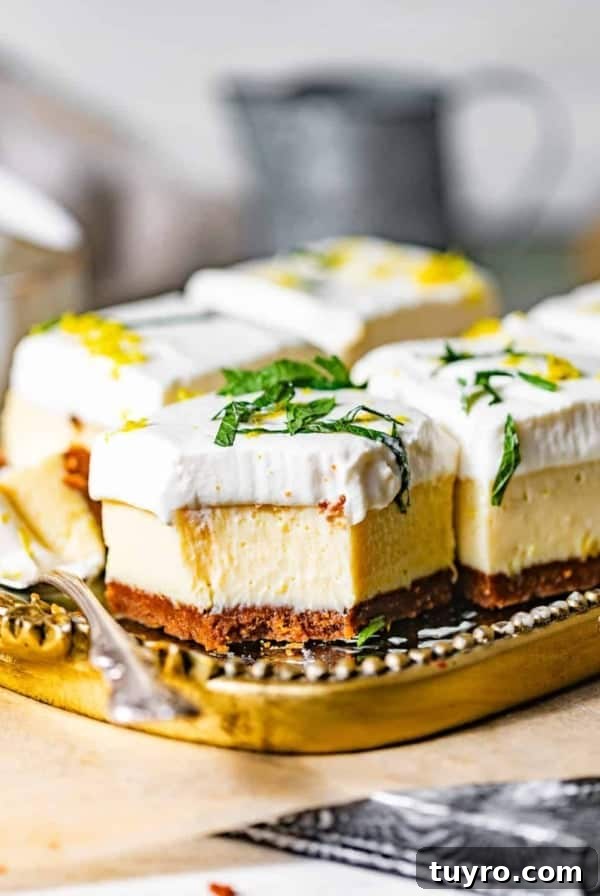 3-Ingredient Mug Cake Recipe Ready in Minutes 9 an up close photo of key lime pie bars on a plate with spoons.