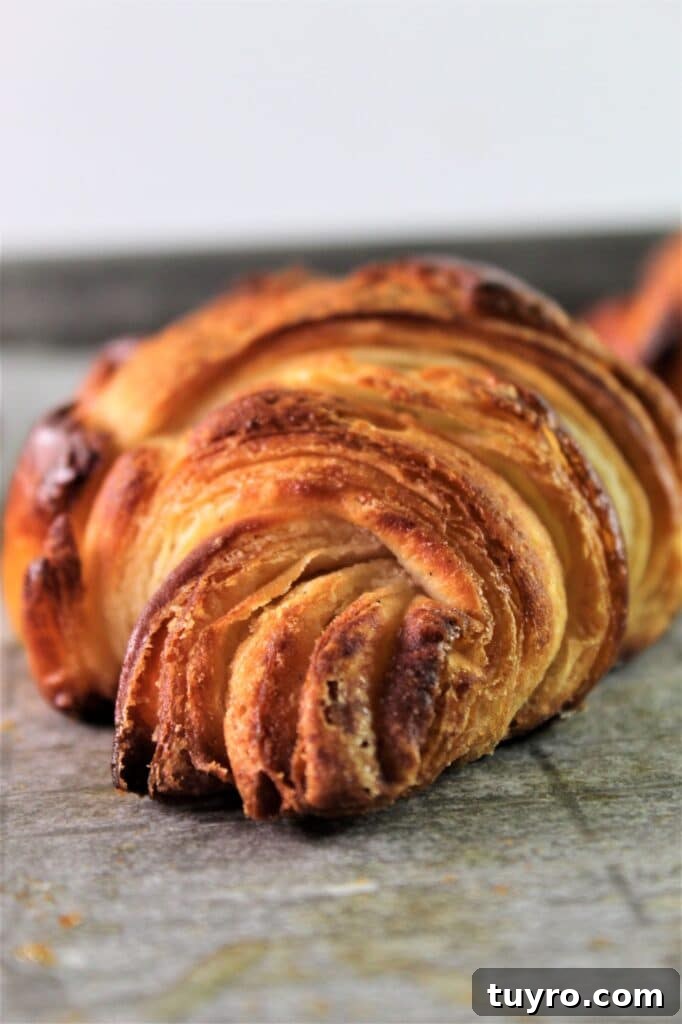 side view of gluten free croissant