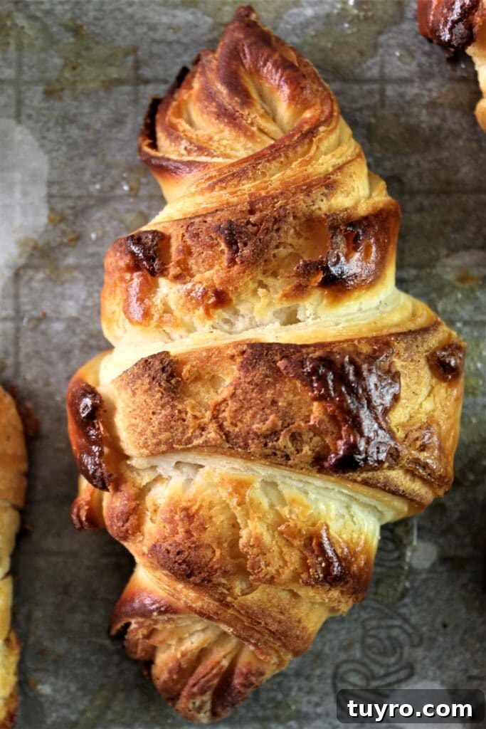 fully baked croissant with all the layers
