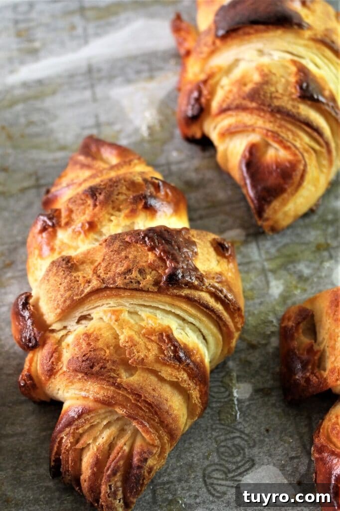 fully baked gluten free croissants on sheet pan