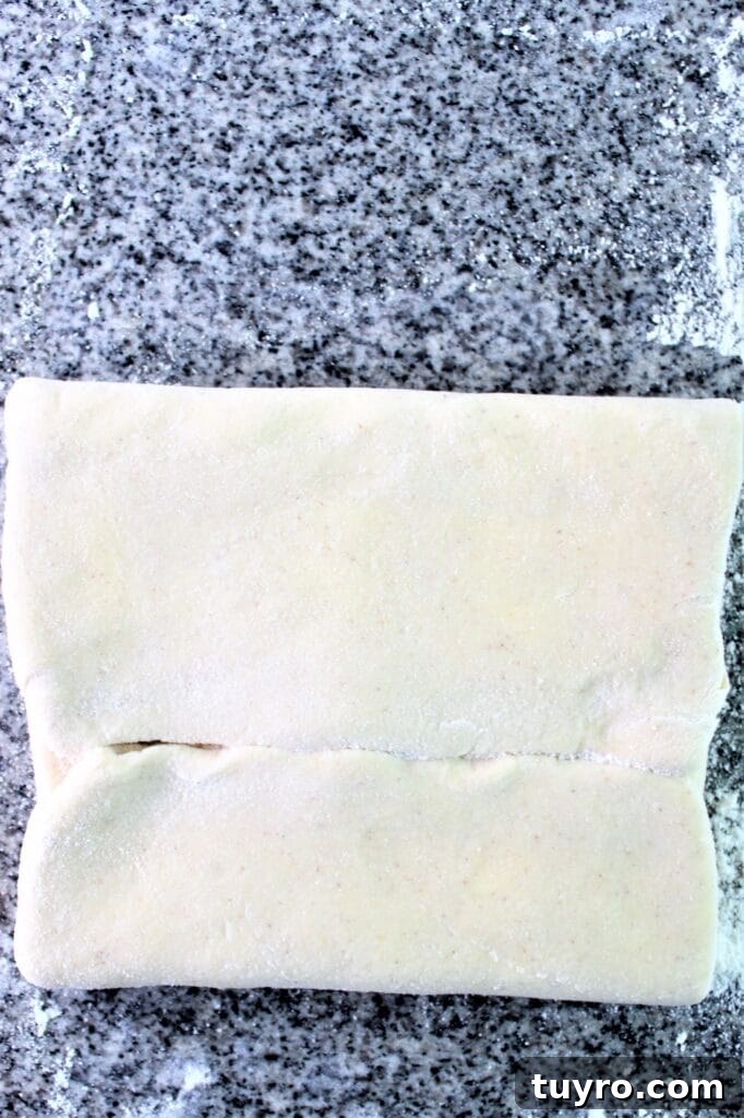 first fold of the book fold
