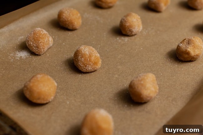 Peanut Butter Blossom Cookies from thelittlekitchen.net Peanut Butter Blossom Cookie dough balls on a parchment paper lined baking sheet.