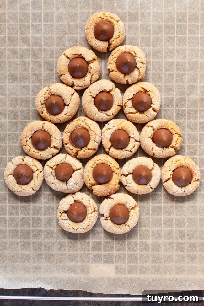 Peanut Butter Blossom Cookies from thelittlekitchen.net Peanut Butter Blossom Cookies on a baking sheet with a cooling rack and parchment paper underneath.