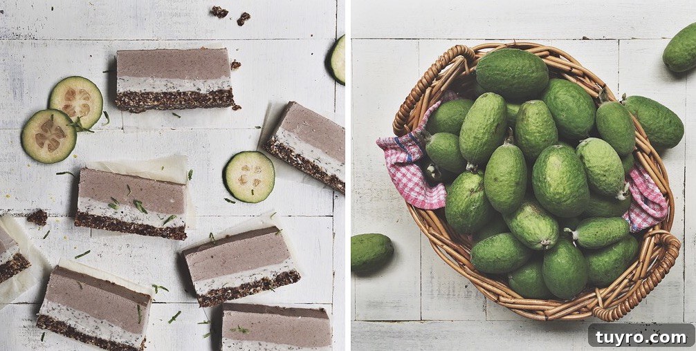 Raw Spiced Feijoa Cheesecake Recipe 3 img 302 2