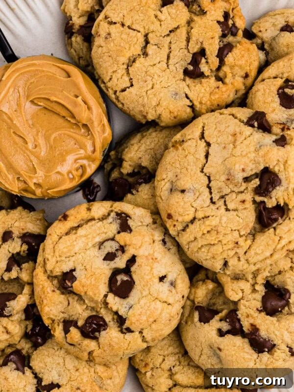 Coconut Delight: Creamy Coconut Dessert Recipe for Home Bakers 13 Peanut butter chocolate chip cookies on a white plate with a scoop of peanut butter next the cookies.