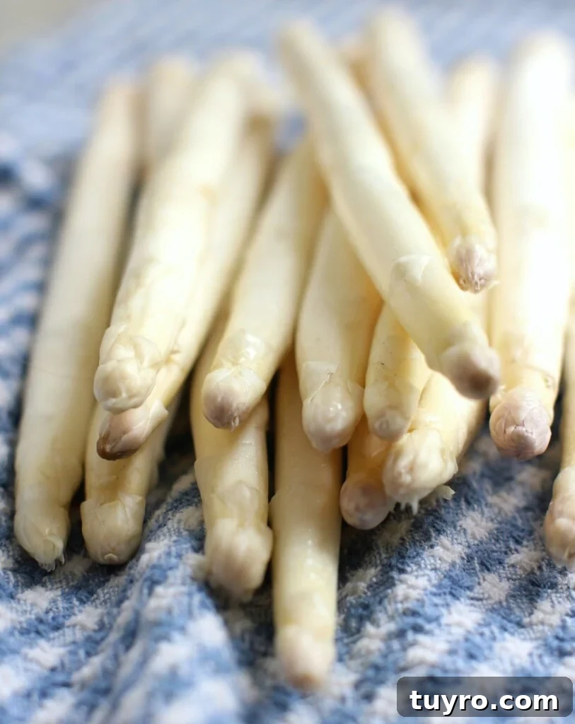 Classic Hollandaise Sauce Recipe for White Asparagus 3 Close-up of the tips of white asparagus on a blue-checked cloth.