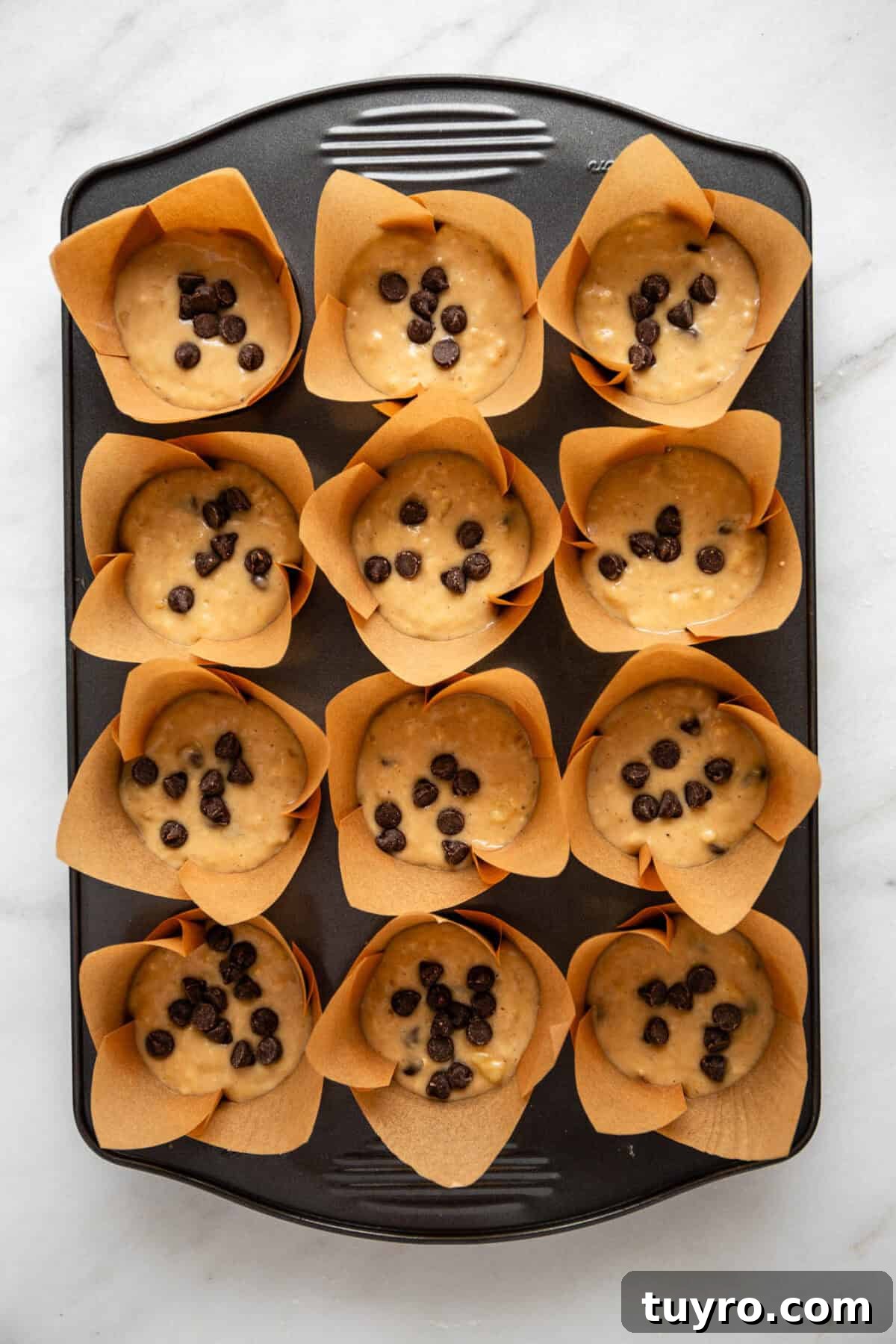 High-Protein Banana Muffins for Quick Breakfast and Snacks 8 unbaked banana chocolate chip muffins in a muffin pan.