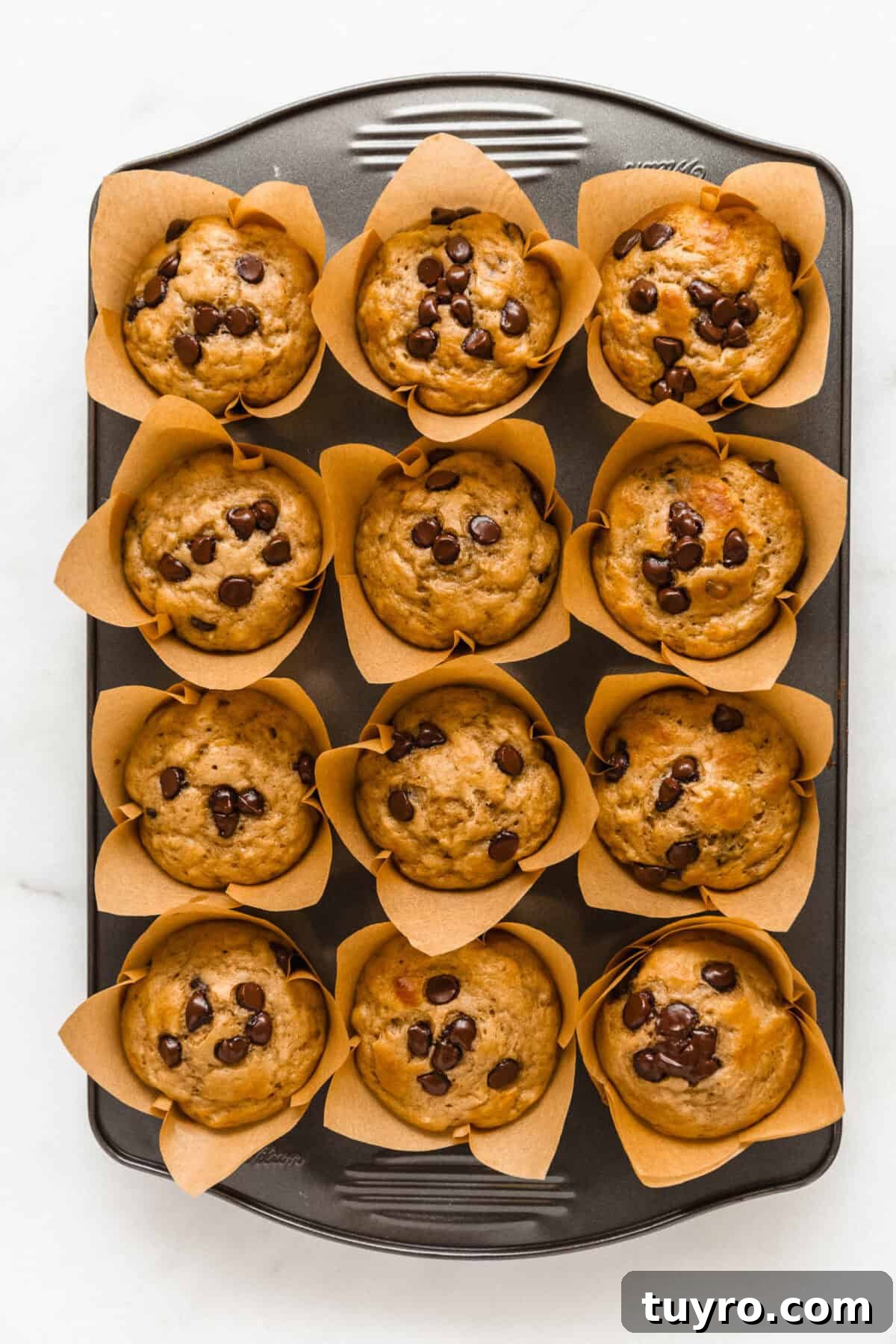 High-Protein Banana Muffins for Quick Breakfast and Snacks 9 baked banana chocolate chip muffins in a muffin pan.