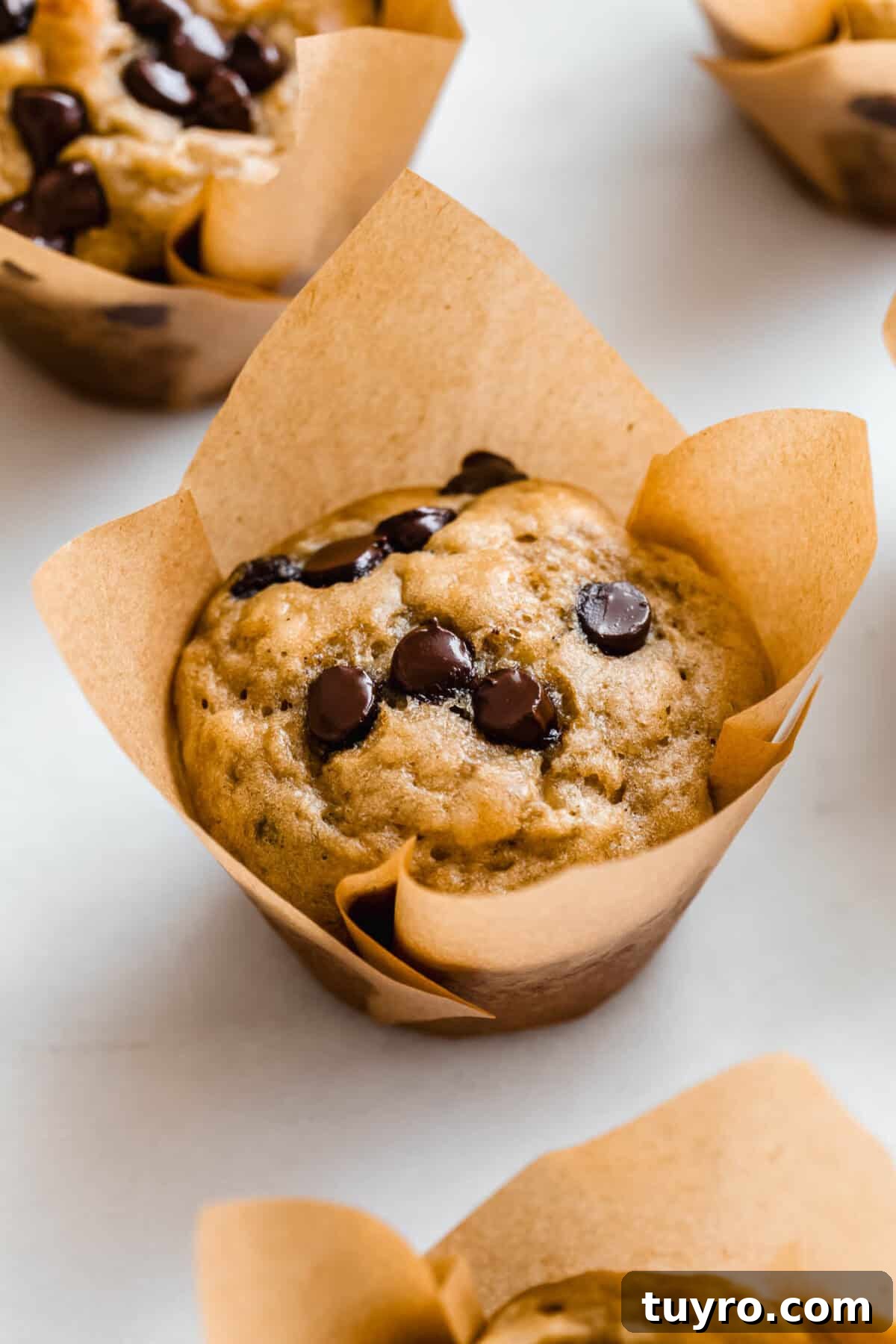 High-Protein Banana Muffins for Quick Breakfast and Snacks 10 A chocolate chip protein banana muffin in a brown muffin liner.