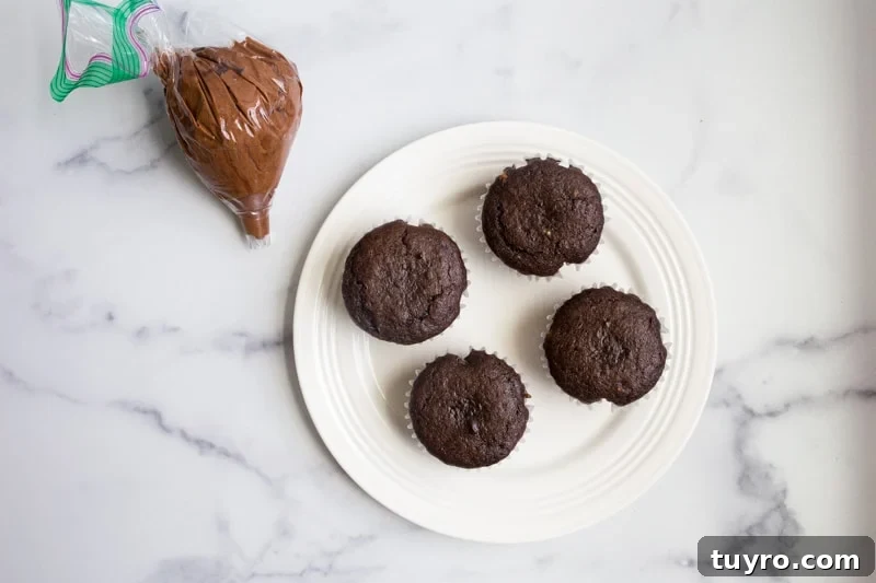 chocolate cupcakes recipe