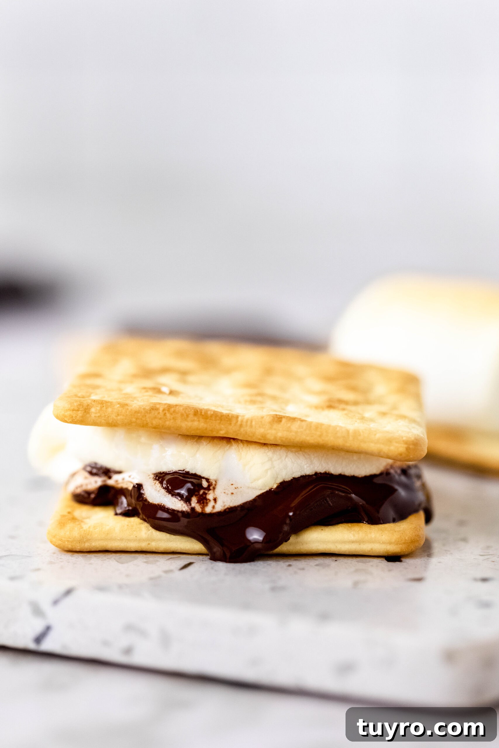 Air Fryer Smores Recipe 10 Close up of melty gooey s'more.