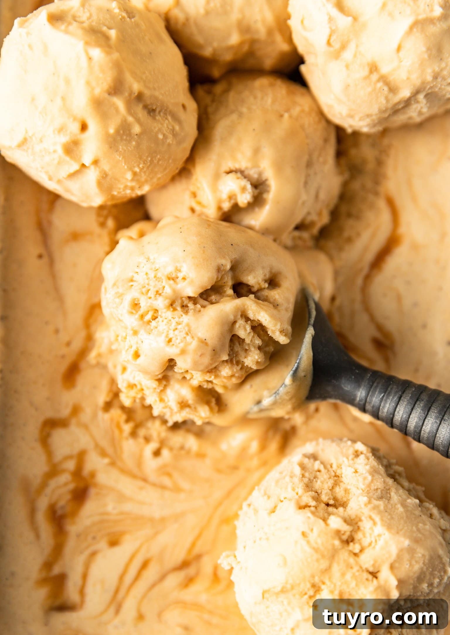 No-Churn Bourbon Salted Caramel Ice Cream Recipe 5 Close up of scoops of no-churn bourbon salted caramel ice cream.