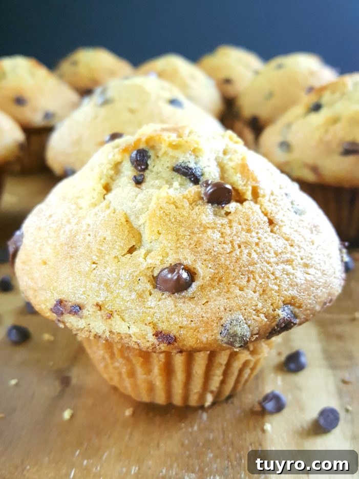 The Best Bakery Style Sour Cream Chocolate Chip Muffins from scratch - Moist homemade jumbo muffins with big tops made with sour cream (or greek yogurt), brown sugar, & no buttermilk. Simple & easy recipe, perfect for breakfast. | Beat Bake Eat