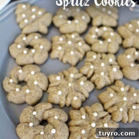 Cinnamon Spritz Cookies