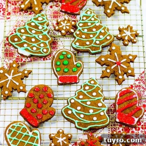 Chewy Gingerbread Cookies