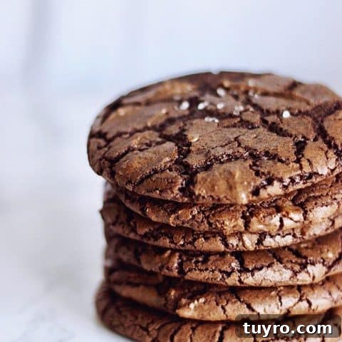Chewy Chocolate Fudge Cookies