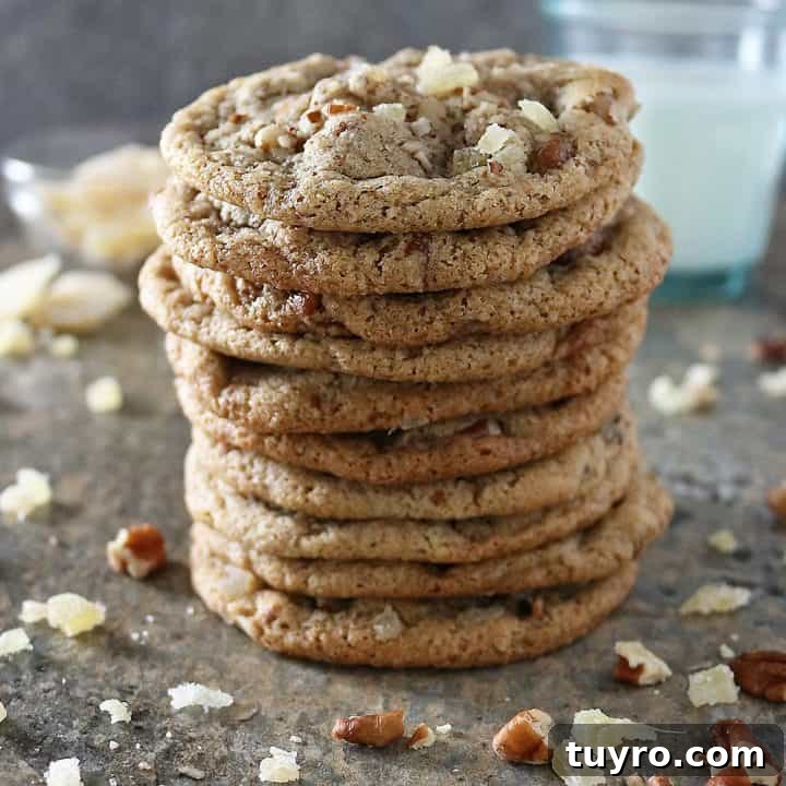 Ginger Pecan Cookies