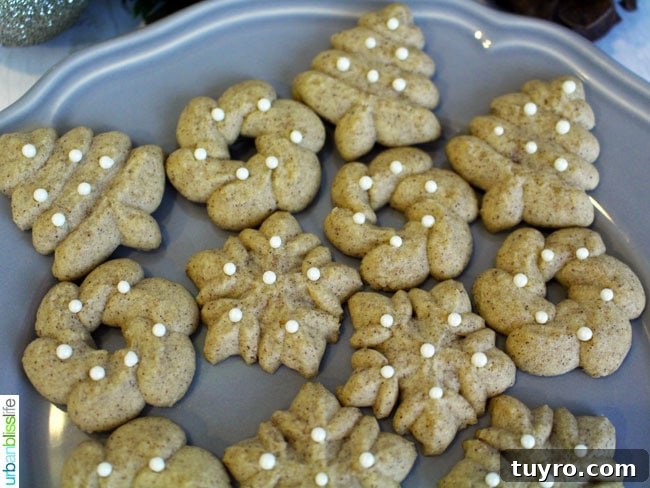 Cinnamon Spritz Cookies