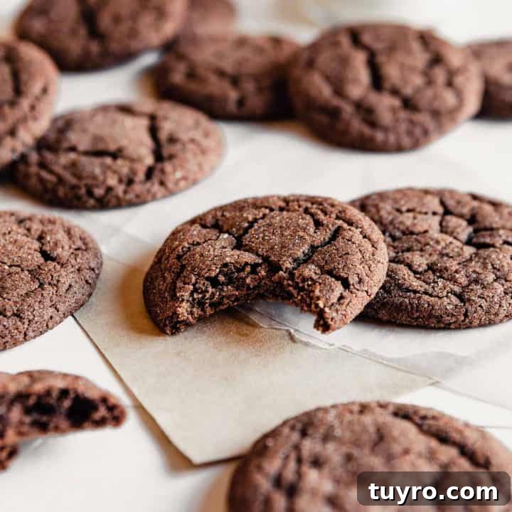 Chewy Chocolate Snickerdoodles
