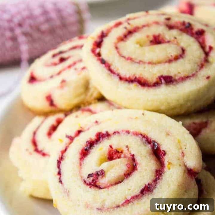 Cranberry Orange Swirl Cookies