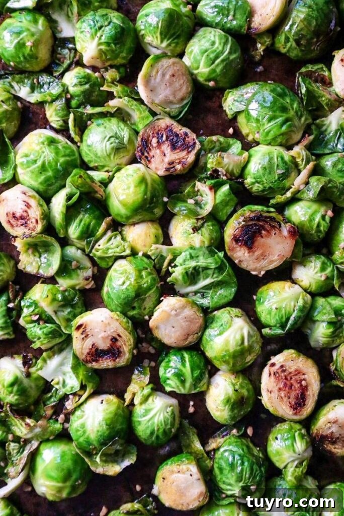Oven Roasted Brussels Sprouts with Bacon and Melted Cheese 3 Pan Fried Brussels Sprouts