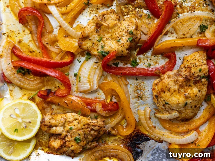 Sheet Pan Italian Chicken with Peppers and Herbs 3 image of sheet pan Italian chicken and roasted bell peppers and onions garnished with lemon slices and fresh parsley
