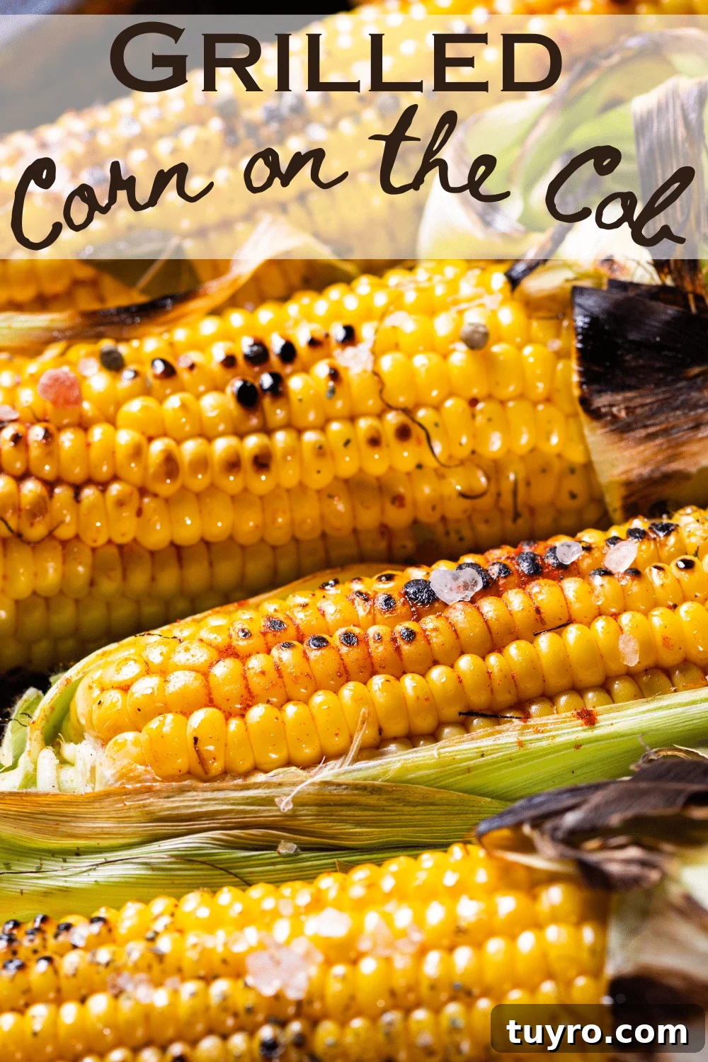 Grilled Corn on the Cob: How to Grill Perfect Corn Every Time 6 best grilled corn on the cobb
