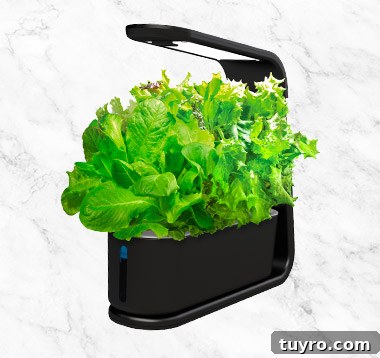 2021 Holiday Gift Guide: Top Picks for Every Person on Your List 3 aerogarden