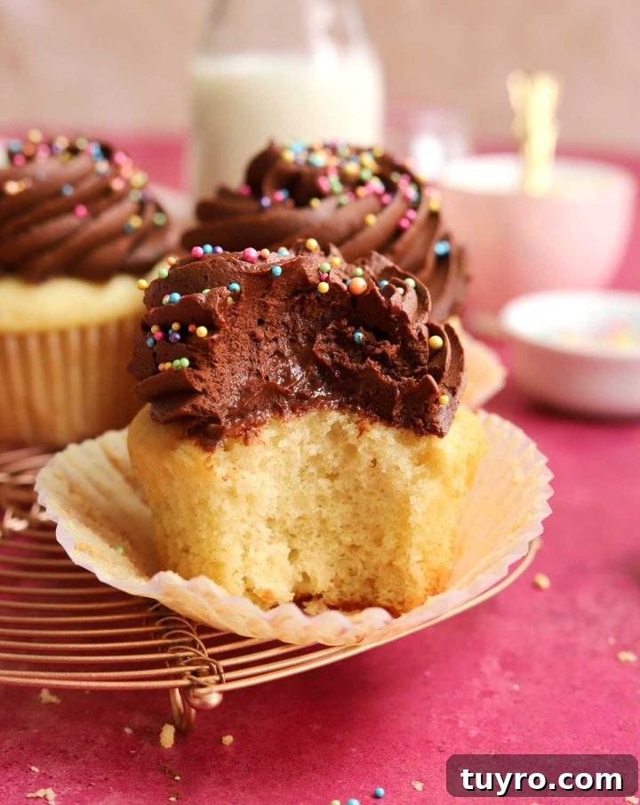 Classic Vanilla Cupcakes Topped with Decadent Chocolate Frosting 2 best vanilla cupcakes crumb texture with bite
