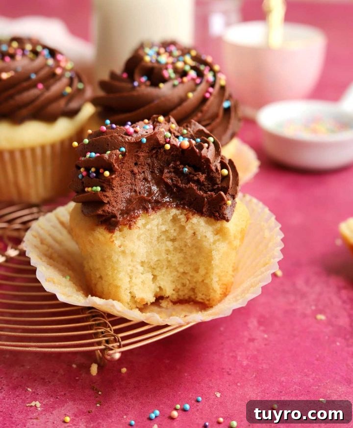 Classic Vanilla Cupcakes Topped with Decadent Chocolate Frosting 18 best vanilla cupcakes crumb texture with bite