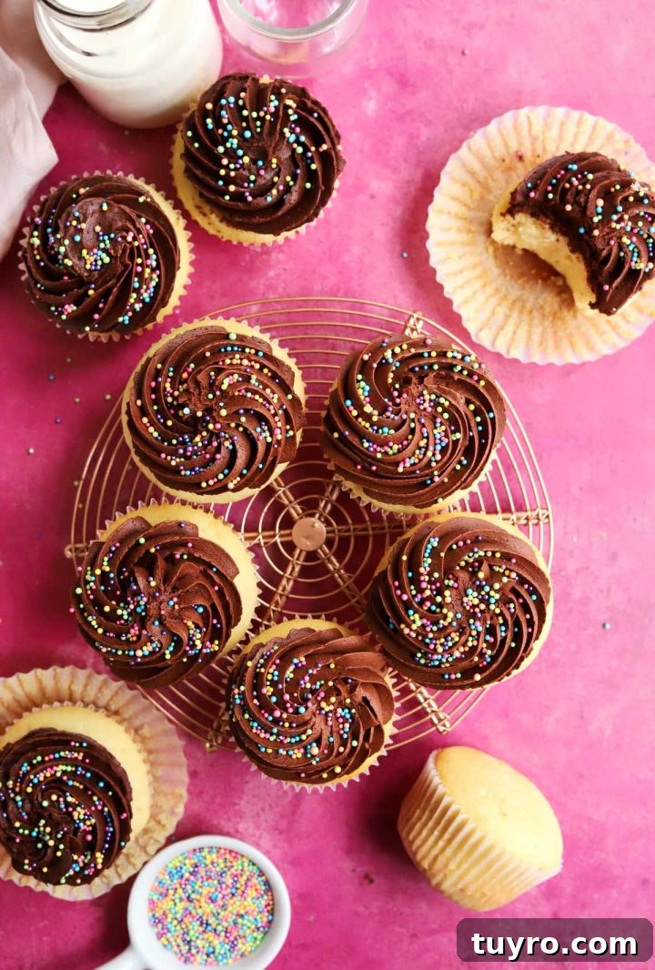 Classic Vanilla Cupcakes Topped with Decadent Chocolate Frosting 3 best vanilla cupcakes with chocolate frosting